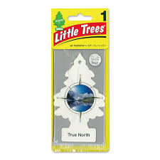 Little Trees True North Car Air Freshener