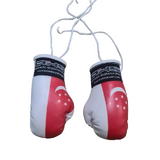 Boxing Gloves Singapore One Pair