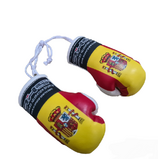 AXS Mini Boxing Gloves - Spanish / Spain One Pair