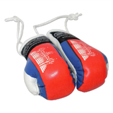 Boxing Gloves -Cambodia One Pair