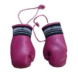 AXS Mini Boxing Gloves - Maroon Black One Pair